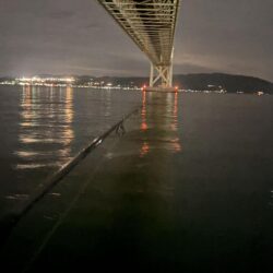 時合あり